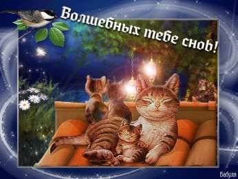 Открытки спокойной ночи спокойной ночи. открытки с пожеланием спокойной ночи. приятных снов. сладких снов. приятных сновидений. доброй ночи. нежных снов. волшебных снов. спите сладко  спокойной ночи. открытки с пожеланием спокойной ночи. приятных снов. сладких снов. приятных сновидений. доброй ночи. нежных снов. волшебных снов. спите сладко 