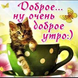 доброе утро доброе утро. открытки с добрым утром. с добрым утром. желаю доброго утра