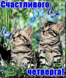 четверг Открытки про четверг