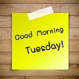 вторник вторник. с добрым вторником.