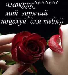 целую открытки целую, целую много раз