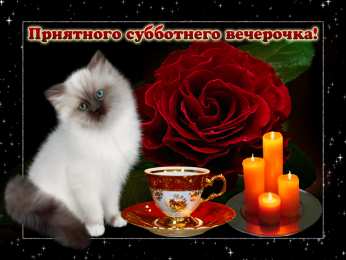 добрый вечер добрый вечер. приятного вечера. доброго вам вечера. хорошего вечера. приятного летнего вечера. отдыхайте с удовольствием .хорошего вечера, приятного общения