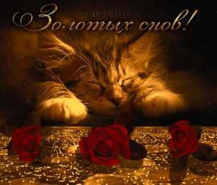 Открытки спокойной ночи спокойной ночи. открытки с пожеланием спокойной ночи. приятных снов. сладких снов. приятных сновидений. доброй ночи. нежных снов. волшебных снов. спите сладко  спокойной ночи. открытки с пожеланием спокойной ночи. приятных снов. сладких снов. приятных сновидений. доброй ночи. нежных снов. волшебных снов. спите сладко 