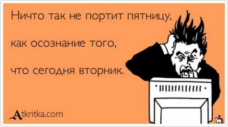 вторник вторник. с добрым вторником.