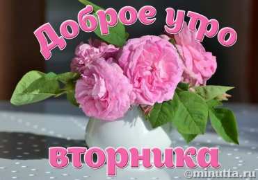 вторник вторник. с добрым вторником.