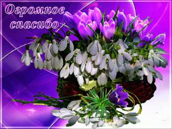 спасибо открытки спасибо, thank you, merci, благодарю тебя, большое спасибо