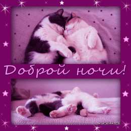 Открытки спокойной ночи спокойной ночи. открытки с пожеланием спокойной ночи. приятных снов. сладких снов. приятных сновидений. доброй ночи. нежных снов. волшебных снов. спите сладко  спокойной ночи. открытки с пожеланием спокойной ночи. приятных снов. сладких снов. приятных сновидений. доброй ночи. нежных снов. волшебных снов. спите сладко 