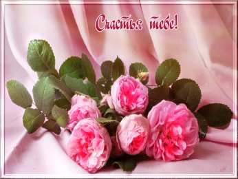 счастья счастья. открытки с пожеланием счастья