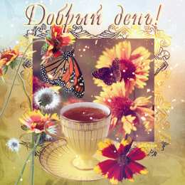 добрый день добрый день. открытки добрый день.доброго дня. хорошего дня. удачного дня