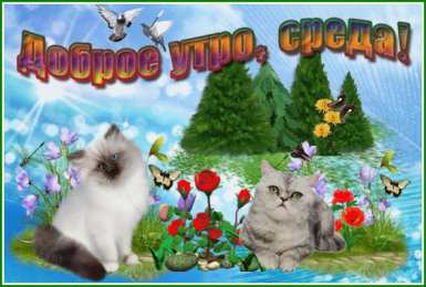 среда С веселой средой