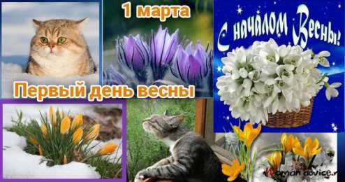 с первым днем весны Весенние открытки