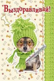 выздоравливай выздоравливай. желаю скорейшего выздоровления. не болей