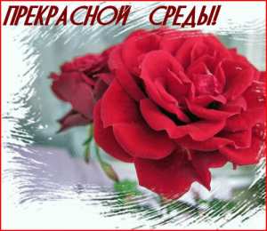 среда С веселой средой