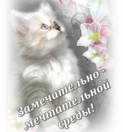 среда С веселой средой