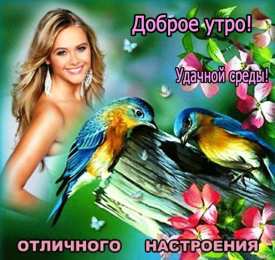 среда С веселой средой