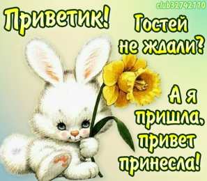  привет открытки привет, как дела. как настроение. пожелание хорошего дня