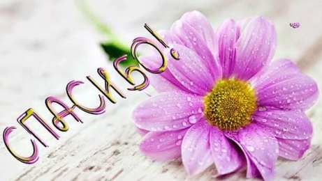 спасибо открытки спасибо, thank you, merci, благодарю тебя, большое спасибо