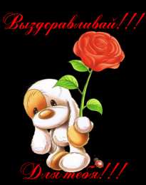 выздоравливай выздоравливай. желаю скорейшего выздоровления. не болей