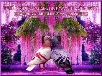 счастья счастья. открытки с пожеланием счастья