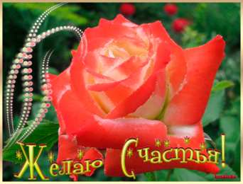 счастья счастья. открытки с пожеланием счастья