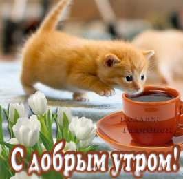 доброе утро доброе утро. открытки с добрым утром. с добрым утром. желаю доброго утра