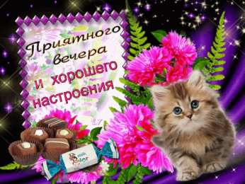 Открытки добрый вечер добрый вечер. приятного вечера. доброго вам вечера. хорошего вечера. приятного летнего вечера. отдыхайте с удовольствием .хорошего вечера, приятного общения добрый вечер. приятного вечера. доброго вам вечера. хорошего вечера. приятного летнего вечера. отдыхайте с удовольствием .хорошего вечера, приятного общения