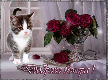 добрый вечер добрый вечер. приятного вечера. доброго вам вечера. хорошего вечера. приятного летнего вечера. отдыхайте с удовольствием .хорошего вечера, приятного общения