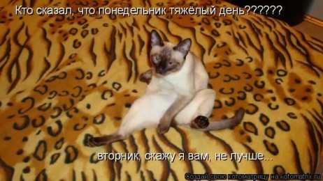 вторник вторник. с добрым вторником.