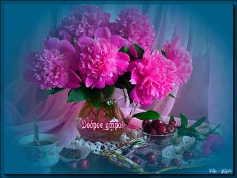 доброе утро доброе утро. открытки с добрым утром. с добрым утром. желаю доброго утра