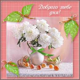 добрый день добрый день. открытки добрый день.доброго дня. хорошего дня. удачного дня