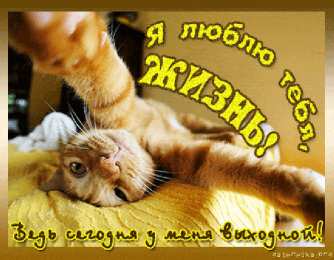 приятных выходных Приятных выходных