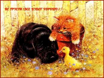 не грусти, не скучай не грусти. не скучай. все будет хорошо. улыбнись. все пройдет