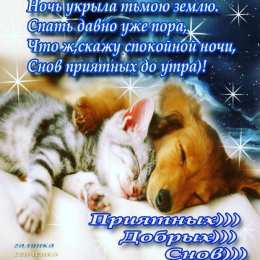 Открытки спокойной ночи спокойной ночи. открытки с пожеланием спокойной ночи. приятных снов. сладких снов. приятных сновидений. доброй ночи. нежных снов. волшебных снов. спите сладко  спокойной ночи. открытки с пожеланием спокойной ночи. приятных снов. сладких снов. приятных сновидений. доброй ночи. нежных снов. волшебных снов. спите сладко 