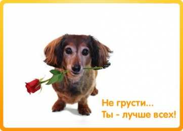 не грусти, не скучай не грусти. не скучай. все будет хорошо. улыбнись. все пройдет