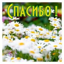 спасибо открытки спасибо, thank you, merci, благодарю тебя, большое спасибо