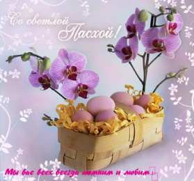 Открытки Пасха пасха. христосе воскресе. светлый праздник . пасхальные яйца. пасха. христосе воскресе. светлый праздник . пасхальные яйца.  пасхальный кулич.  воистину воскресе пасхальный подарок.  собор. церковь.  пасхальные пряники.  пасхальный стол