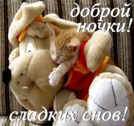 Открытки спокойной ночи спокойной ночи. открытки с пожеланием спокойной ночи. приятных снов. сладких снов. приятных сновидений. доброй ночи. нежных снов. волшебных снов. спите сладко  спокойной ночи. открытки с пожеланием спокойной ночи. приятных снов. сладких снов. приятных сновидений. доброй ночи. нежных снов. волшебных снов. спите сладко 