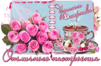 вторник вторник. с добрым вторником.