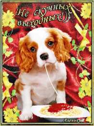 приятных выходных Приятных выходных