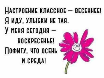 среда С веселой средой