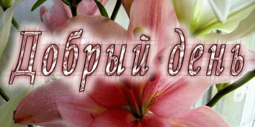 добрый день добрый день. открытки добрый день.доброго дня. хорошего дня. удачного дня
