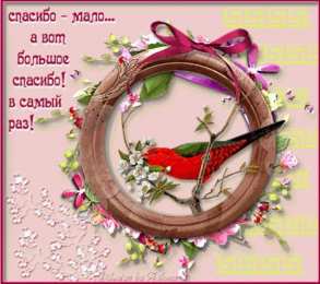 спасибо открытки спасибо, thank you, merci, благодарю тебя, большое спасибо