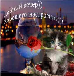 выздоравливай выздоравливай. желаю скорейшего выздоровления. не болей