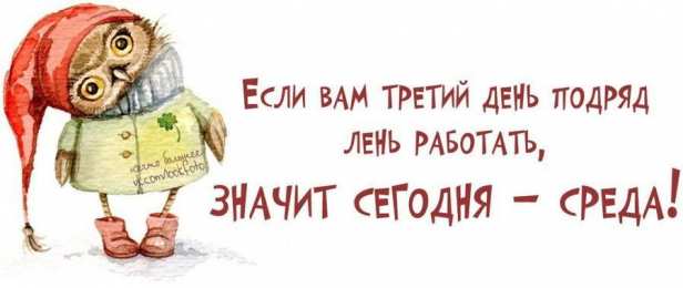 среда С веселой средой