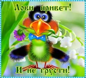 не грусти, не скучай не грусти. не скучай. все будет хорошо. улыбнись. все пройдет