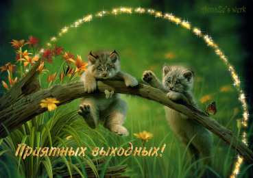 приятных выходных Приятных выходных