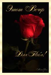 добрый вечер добрый вечер. приятного вечера. доброго вам вечера. хорошего вечера. приятного летнего вечера. отдыхайте с удовольствием .хорошего вечера, приятного общения