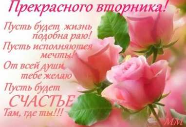 вторник вторник. с добрым вторником.