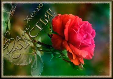 счастья счастья. открытки с пожеланием счастья