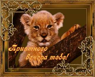 Открытки добрый вечер добрый вечер. приятного вечера. доброго вам вечера. хорошего вечера. приятного летнего вечера. отдыхайте с удовольствием .хорошего вечера, приятного общения добрый вечер. приятного вечера. доброго вам вечера. хорошего вечера. приятного летнего вечера. отдыхайте с удовольствием .хорошего вечера, приятного общения